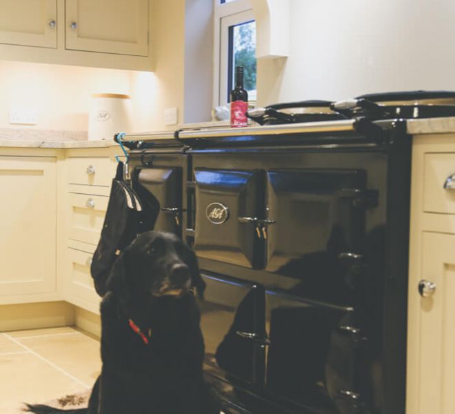 dog sat in front of AGA
