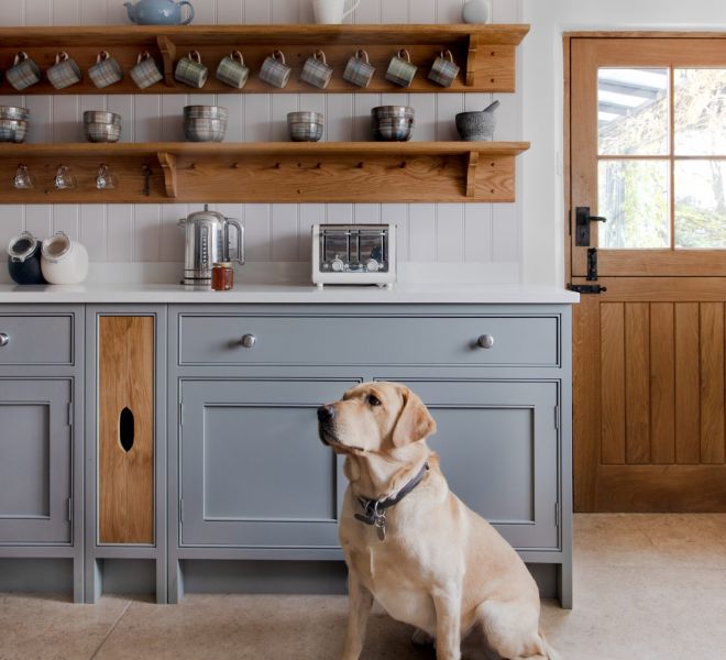 dog sat in front of kitchen cabinets